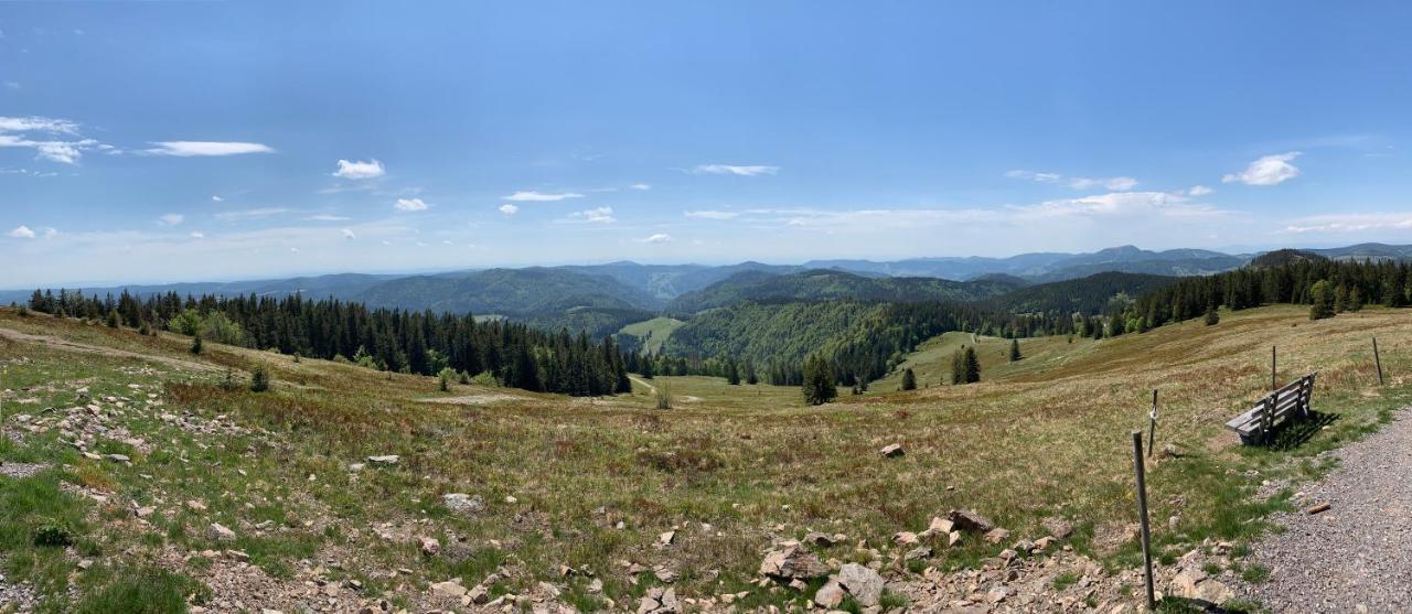 Feldberg Lounge - Residenz Grafenmatt Apartment Екстериор снимка